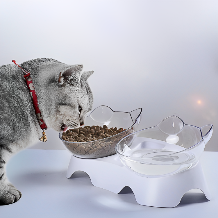 CaTime-Anti-Vomiting Orthopedic Pet Bowl