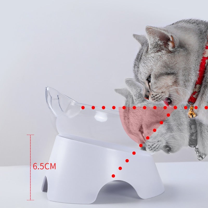 CaTime-Anti-Vomiting Orthopedic Pet Bowl