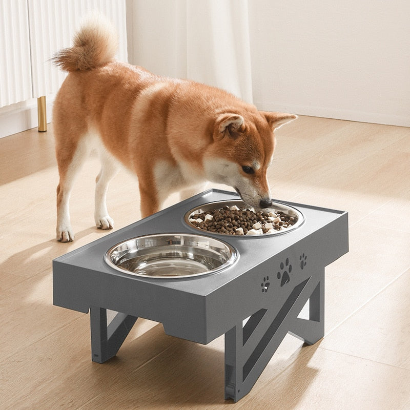 Double Elevated Adjustable Pet Feeder