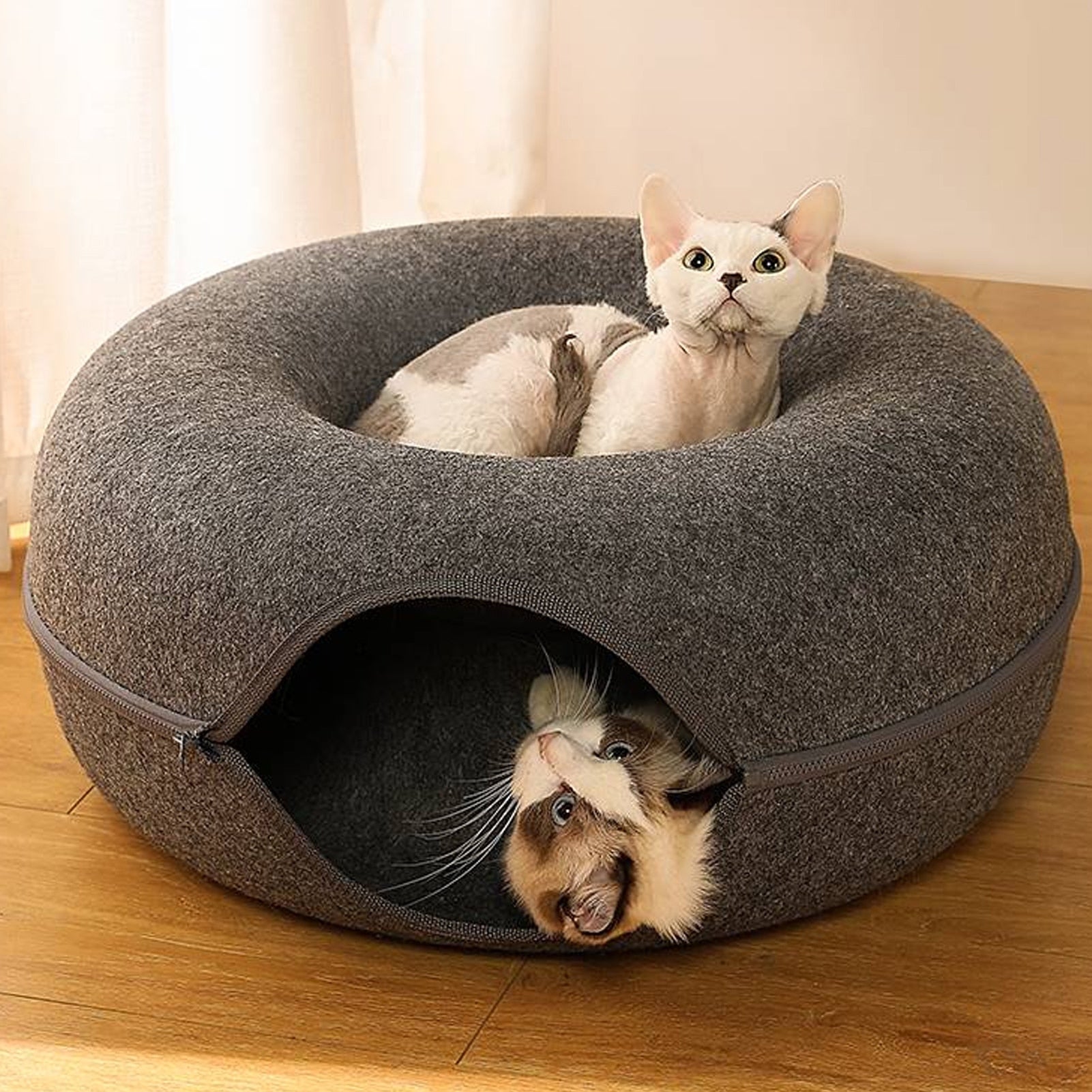 Cat Tunnel Bed